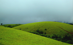 Vagamon